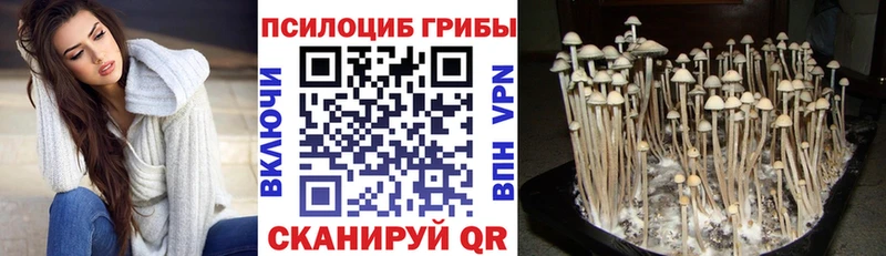 Псилоцибиновые грибы ЛСД ОМГ ОМГ ссылки Изобильный даркнет сайт