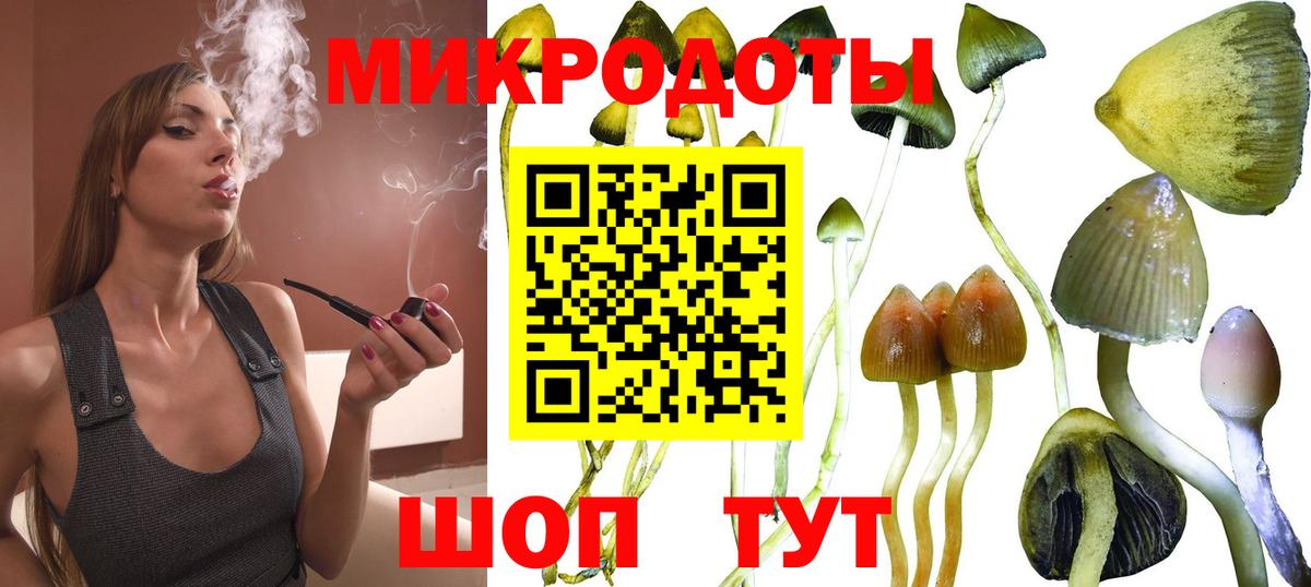 Изобильный  Псилоцибиновые грибы GOLDEN TEACHER  Вход с VPN  Псилоцибиновые грибы мухоморы 