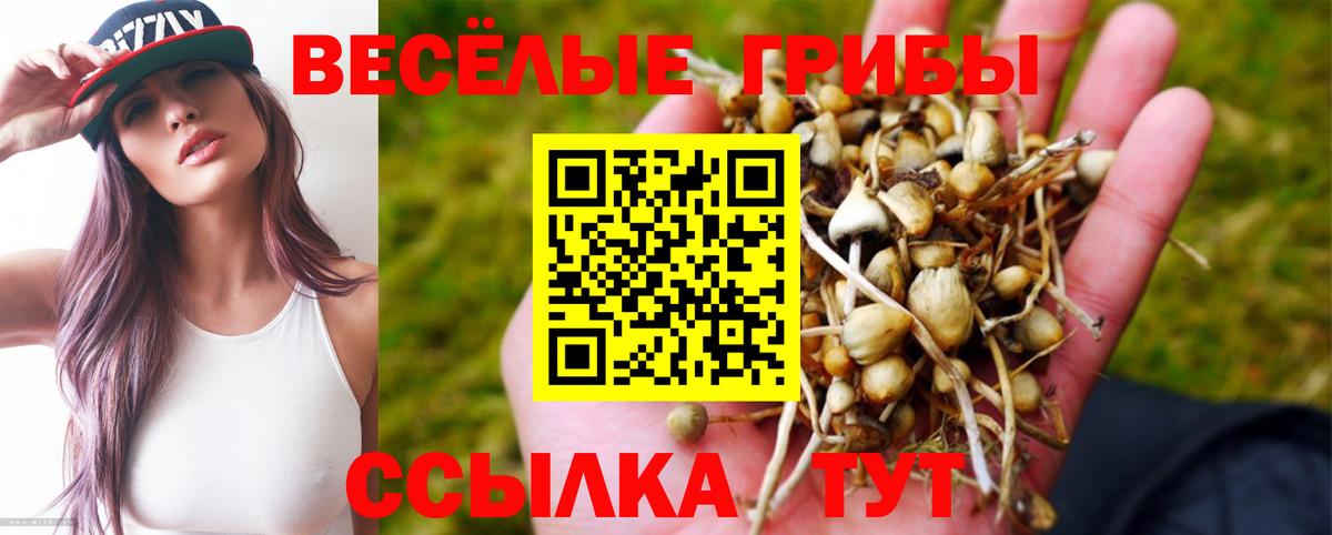 Псилоцибиновые грибы GOLDEN TEACHER Изобильный